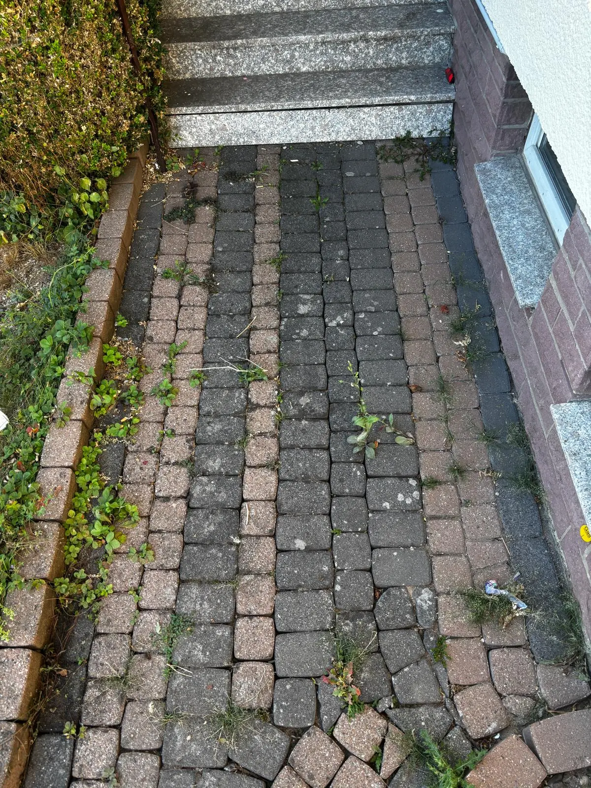 Vorher: Pflasterfläche bei einer Hochdruckreinigung